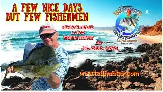 MEXICAN MINUTE LA PAZ FISHING REPORT UPDATE from Tailhunter Sportfishing for Jan.25 -Feb . 5, 2026