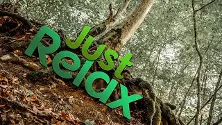 Sounds of Nature on a bike