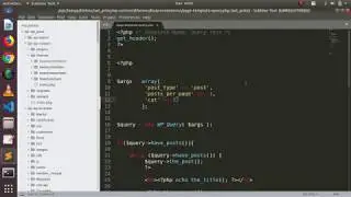 Tutorial 3: Wp query Category parameter | wordpress