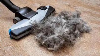 Top 10 Best Vacuum for Pet Hair of 2023 Cleaning Gadgets for Pet Owner