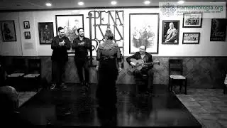 #Flamencología Pastora Galván al baile - Berza Flamenca - Peña Juan Breva