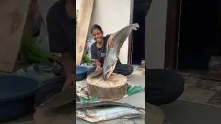 മീനെ കളയാൻ മാത്രമല്ല തലവെട്ടി കറിവെക്കാനും അറിയാം 😋 #youtube #fishing #new #puttummeencurriyum