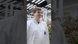 How Legacy.ag Uses the Grow Sensor PRO to Automate Cannabis Cultivation in New Zealand