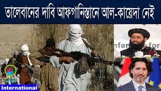 The Taliban claimed there has no Al-Qaeda in Afghanistan | BD HandSpeak News |