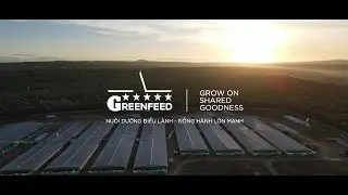 Về tập đo&agrave;n GREENFEED