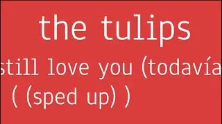 The Tulips - Still Love You (Todavìa) ((sped up))