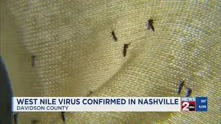 Metro Health confirms this year's first human case of West Nile Virus in Nashville