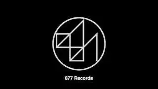 Allmostt - Birds & The Bees - 877 Records