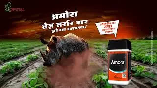 Amora: TVC -20 Sec_Hindi