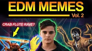 EDM MEMES | VOL. 2
