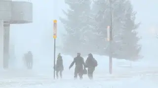A terrible snowstorm and majestic arctic winds hit Russia, Lesnaya Polyana