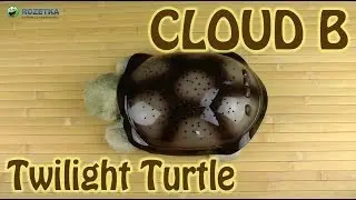 Демонстрация Cloud B Twilight Turtle Classic Mocha (7323-ZZ)