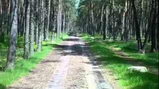 Soltau/Lüneburger Heide