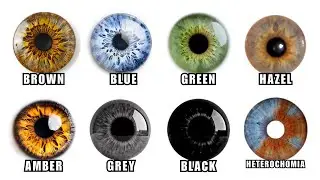 What Your Eye Color Secretly Reveals About You