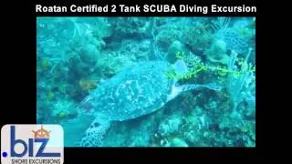 Roatan Certified 2 Tank SCUBA Diving Excursion