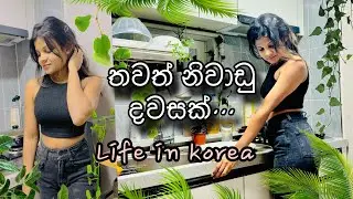 කොරියාවේ මගේ නිවාඩු දවස🌸   Cleaning Day   Life in Korea🇰🇷