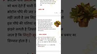 Evs part 2  for ctet and all tet exam govt exam 