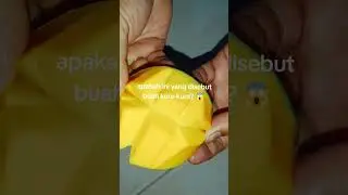 Buah unik