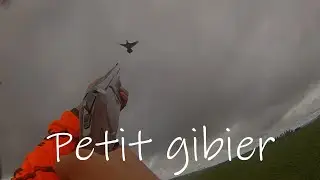 CHASSE-petit gibier / sc&egrave;nes de tirs 2019