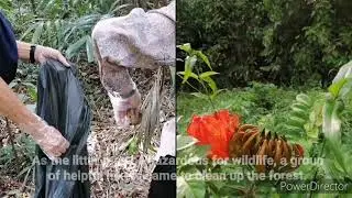 Dover-Ulu Pandan Forest recce and voluntary clean-up event, 21 February 2021