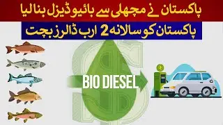 Pakistan successfully convert Fish waste into Bio Diesel which ll save $2 Billion&nbsp;Annually