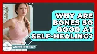 Why Are Bones So Good At Self-healing? - Osteoporosis Support Network