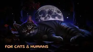 Magical Night Forest 🌙 Soft Melody & Gentle Cat Purring
