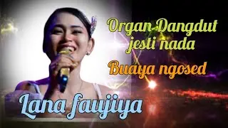 BUAYA NGOSED // LANA FAUJIYA // ORGAN DANGDUT JESTI NADA LIVE DADAP BLOK PULOBI JUNTINYUAT INDRAMAYU