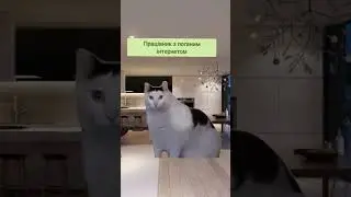 А как проходят ваши совещания?😂😂  #2025 #cat #рекомендации #юмор #funny