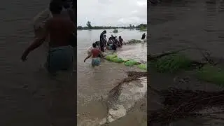 منچن آباد لالہ امر سنگھ #flood #floods #duet #lahore #flooding #selab2025 #weather #aleemakhan #rai