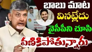 Chandrababu Losing Grip While Jagan Still Rules YSRCP | Political Power Comparison 2025