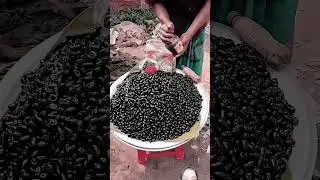 jamun and watermelon 🍉 #facts #fruit 🍉 #plantsofindia