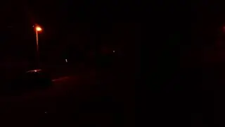 Fox Barking like a Screaming with Funniest at Night