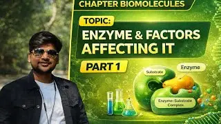 ||Biomolecules|| Enzyme and factors affecting it|| Part 1