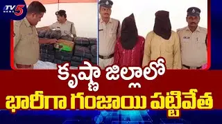 171kgs Ganja Seized At Chinna Avutapalli | Krishna District || TV5 News