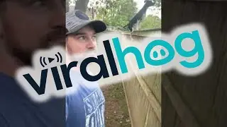 Fence Can't Contain This Jumping Dog || ViralHog
