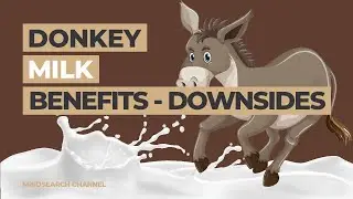 Donkey Milk: Benefits Uses And Downsides