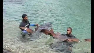 Доминикана - Океанариум Ocean World.