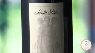 Discover Chile's Oldest Winery, Home to Top-Rated Chilean Wines