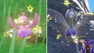 SHINY DUCKLETT and SWANNA after 4272 Encounters in POKEMON SCARLET