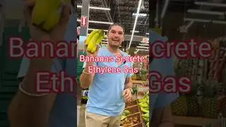Вы знали это о бананах???
