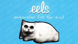 WAYBACK WEDNESDAY: EELS | NOVOCAINE FOR THE SOUL (1996) #dailyspins #nowspinning