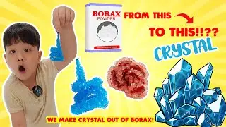 We're Making BORAX CRYSTAL! DIY Easy Science Experiment for kids at home!