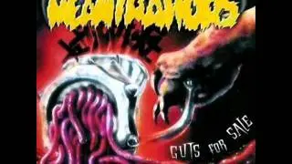 The Meantraitors (We're Going Wild Tonight)