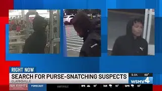Clarksville police searching for purse-snatching suspects