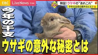【卯年】うさぎのあれこれ聞いてみた！