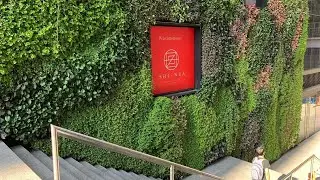 Real Dos Roof Garden & Living Walls in Lima, Peru - Featured Project