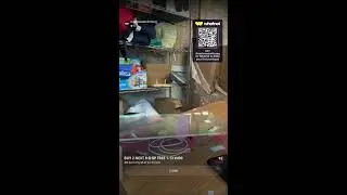 $1 STARTS-NONSTOP GIVVYS-CHEAP SHIPPING