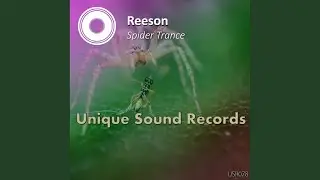 Spider Trance (Original Mix)