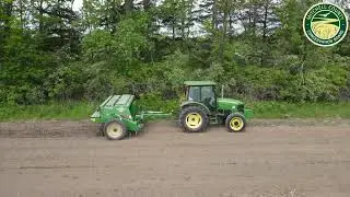 Sunflower Symphony: Planting a Vibrant Food Plot